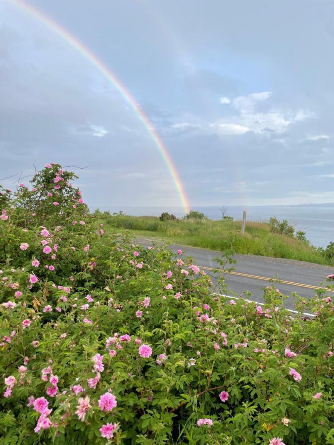 Le Carabobo Auberge Forillon Gaspé Екстериор снимка